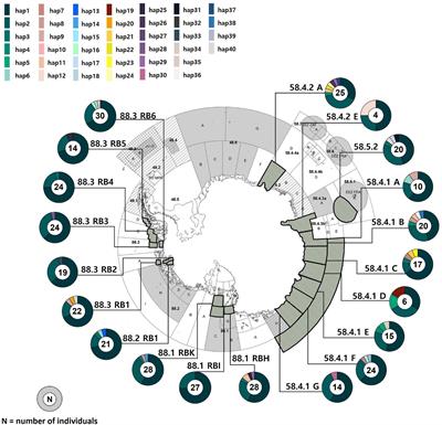 Genetic Diversity and Population Structure of the Antarctic Toothfish, Dissostichus mawsoni, Using Mitochondrial and Microsatellite DNA Markers